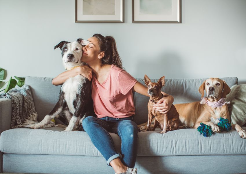 A tenant with a pink shirt, blue jeans and brown ponytail smiles while sitting on a grey couch with three dogs.